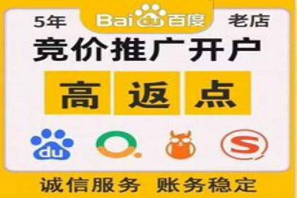 成功案例分享：SEM推广策略的制定与执行